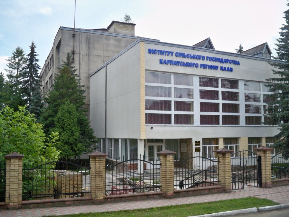 inovaciyniy