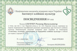 Ільчук