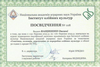 Ващишин