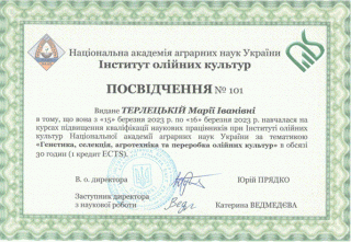 Терлецька
